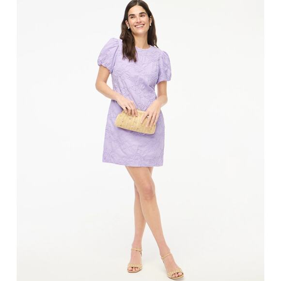 J.Crew Eyelet Puff-Sleeve Mini Dress WMNS 14 Purple Flower Embroidery Crew Neck - Picture 1 of 8